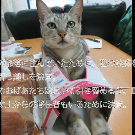 나키진 오키나와 프리덤 빌라 외부 사진