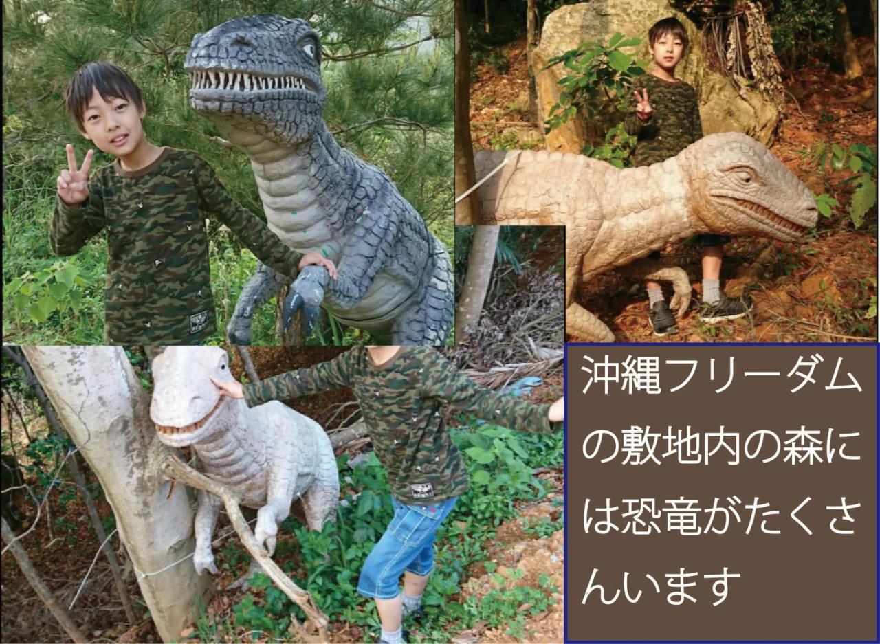나키진 오키나와 프리덤 빌라 외부 사진