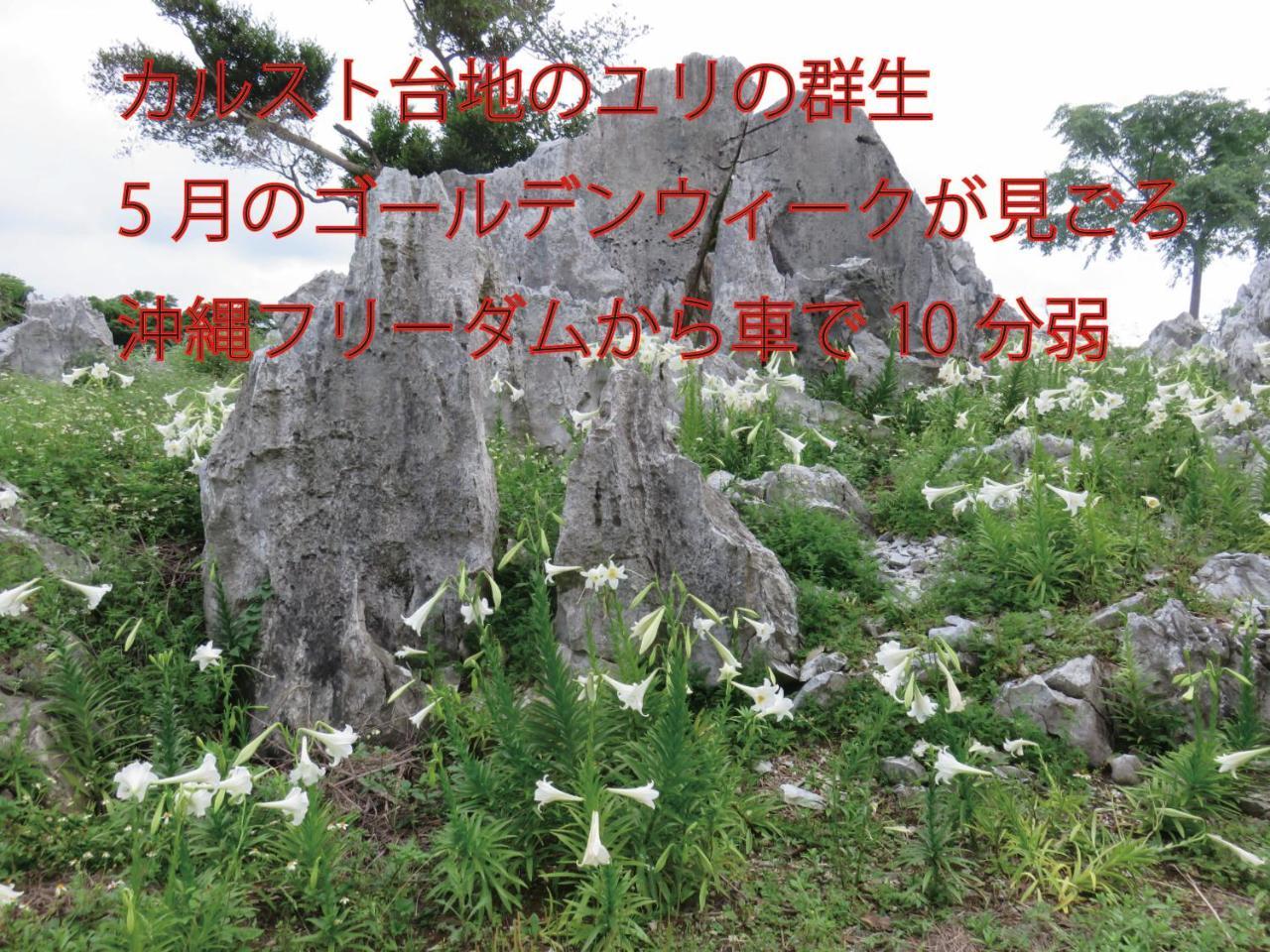 나키진 오키나와 프리덤 빌라 외부 사진