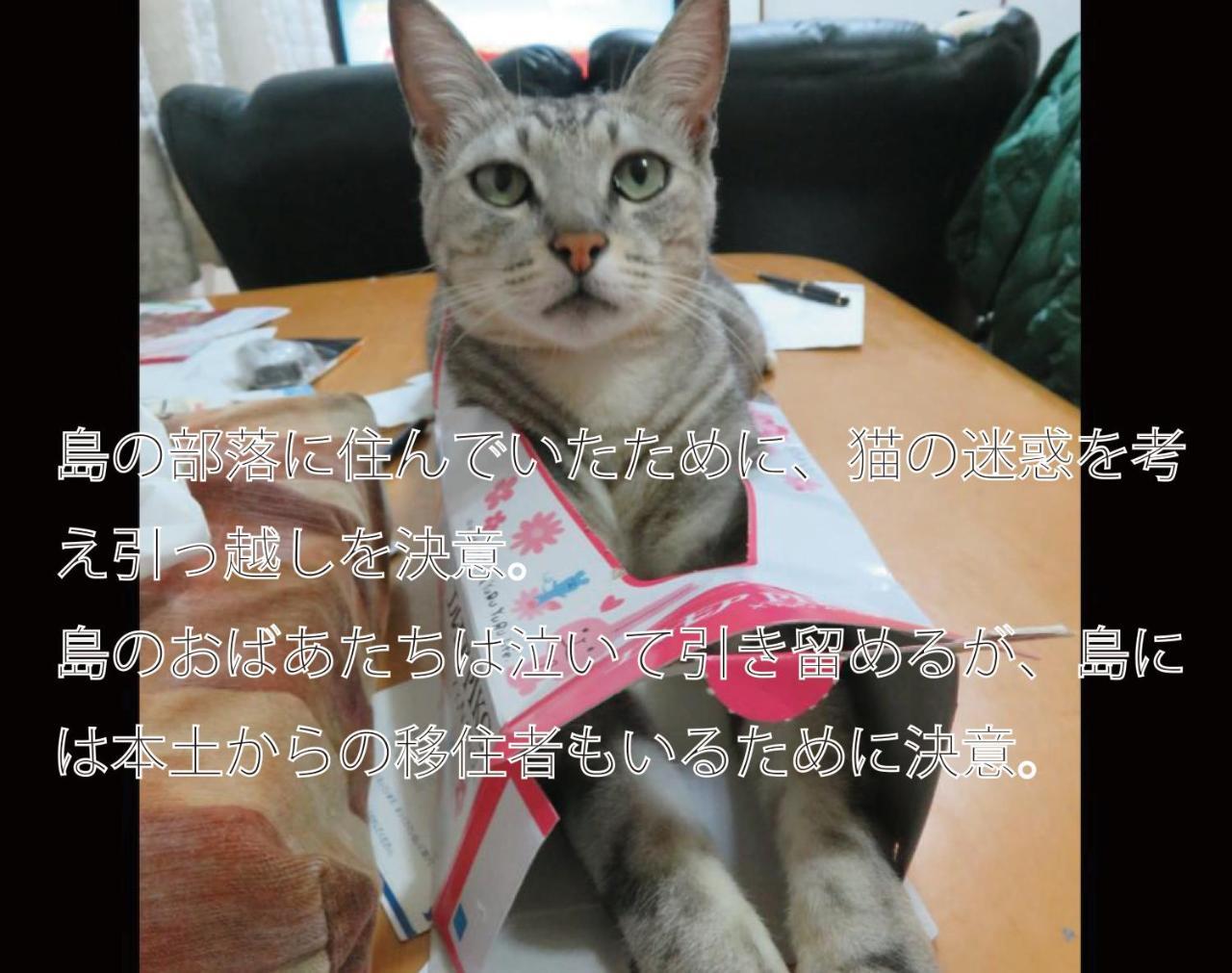 나키진 오키나와 프리덤 빌라 외부 사진