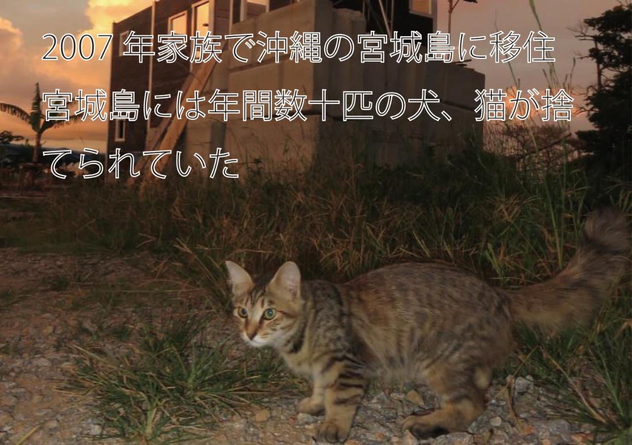 나키진 오키나와 프리덤 빌라 외부 사진