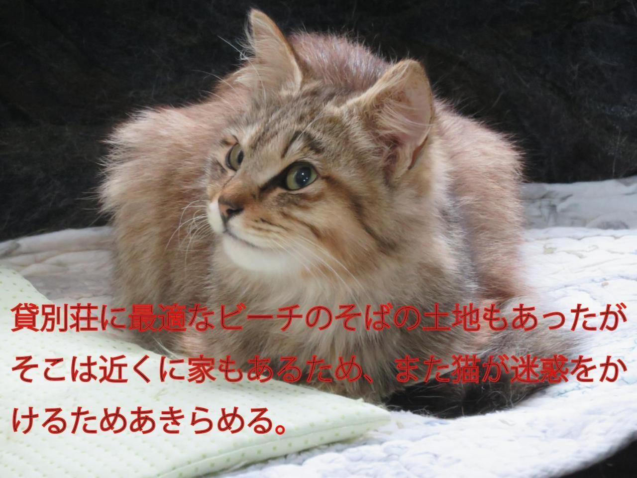 나키진 오키나와 프리덤 빌라 외부 사진